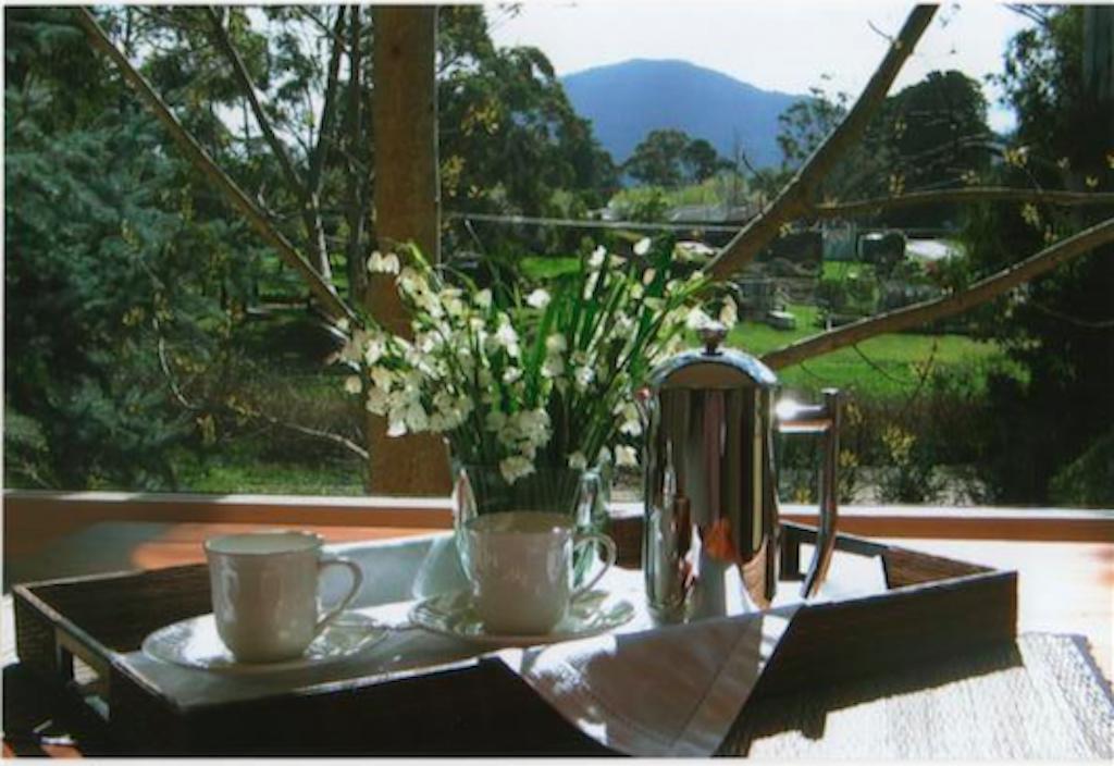 マセドニア Hollyhock Bed & Breakfast エクステリア 写真