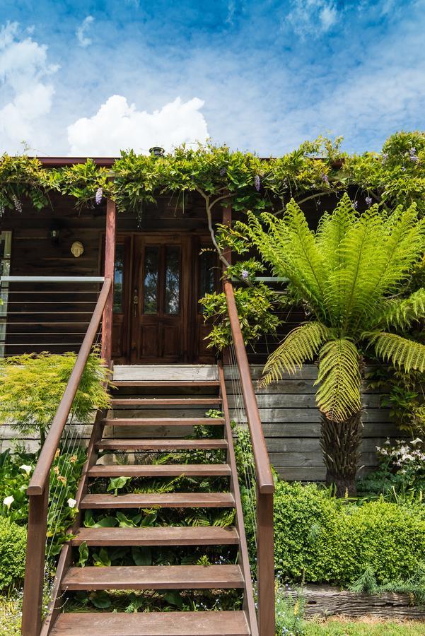 マセドニア Hollyhock Bed & Breakfast エクステリア 写真