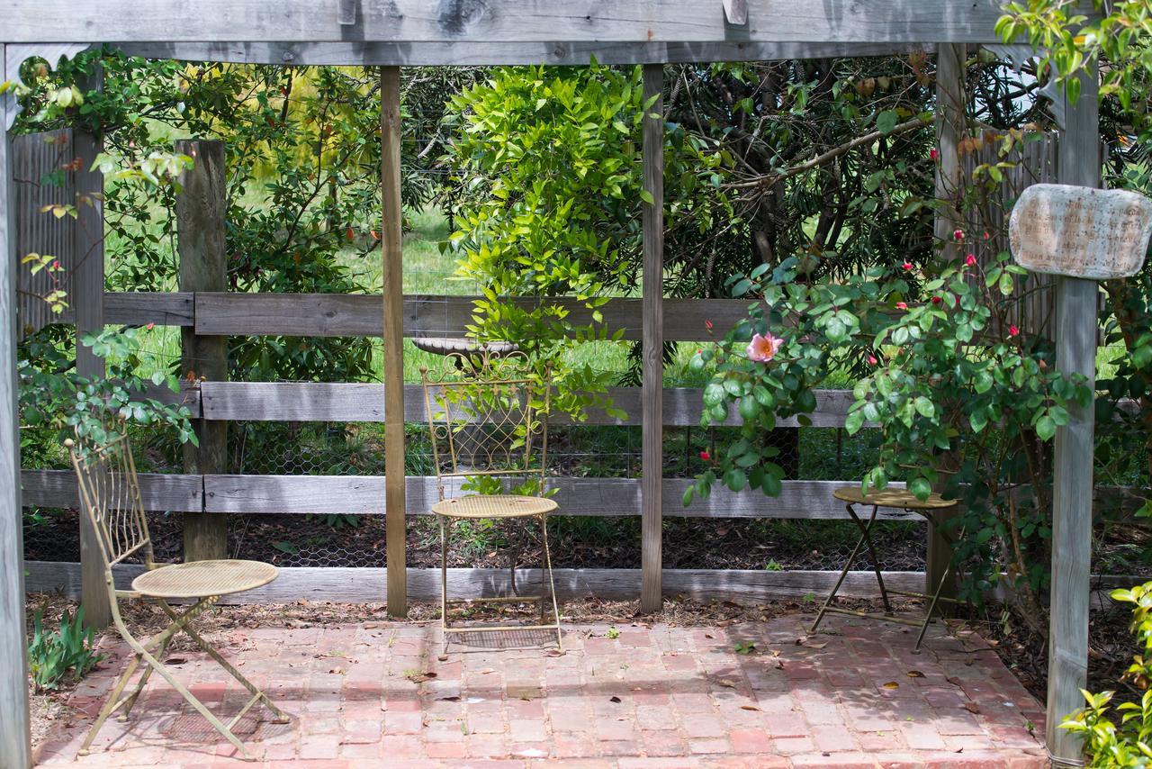 マセドニア Hollyhock Bed & Breakfast エクステリア 写真