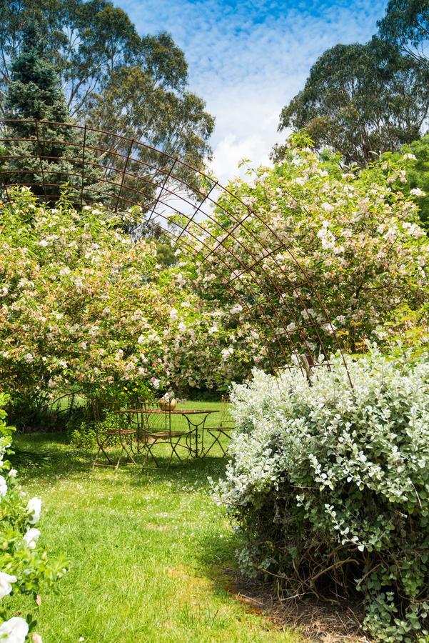 マセドニア Hollyhock Bed & Breakfast エクステリア 写真